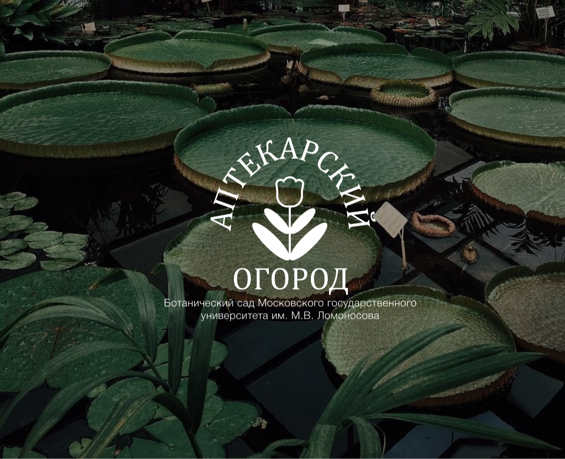 Айдентика ботанического сада «Аптекарский огород» — Брендинг на Dprofile