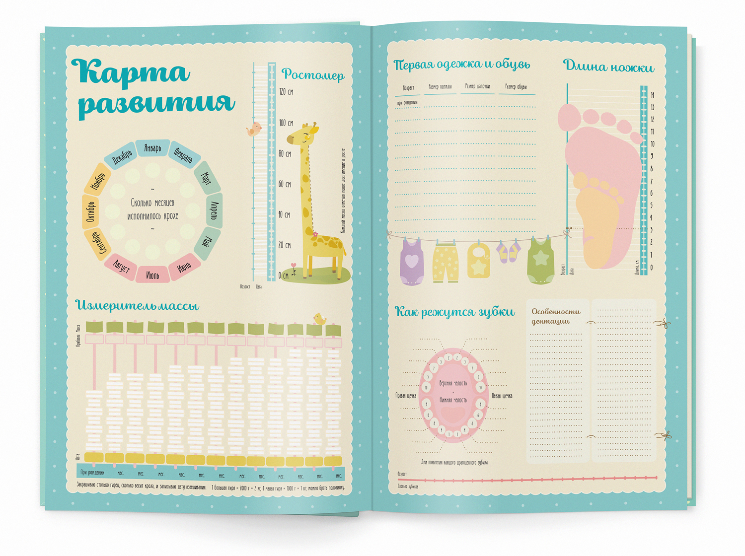 Дизайн дневника развития ребенка в формате ежедневника. — Изображение №3 — Брендинг, Графика на Dprofile