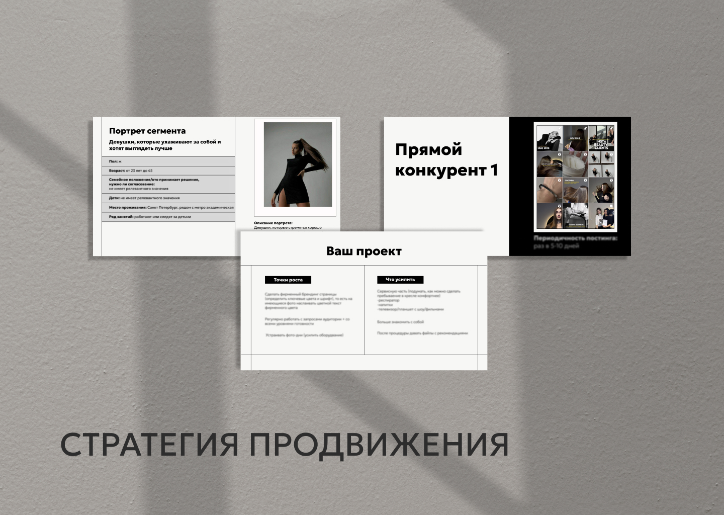 Презентация стратегии продвижения — Изображение №1 — Брендинг, Маркетинг на Dprofile