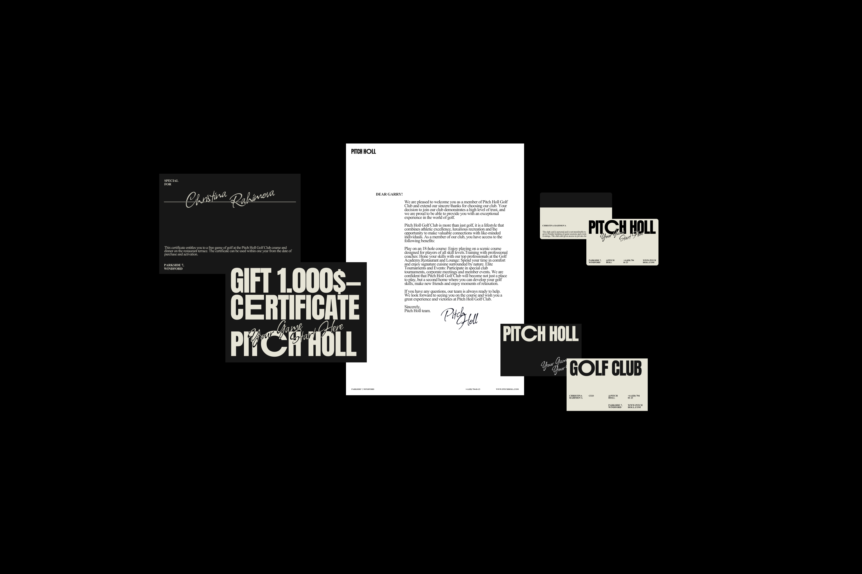PITCH HOLL — Изображение №2 — Брендинг на Dprofile