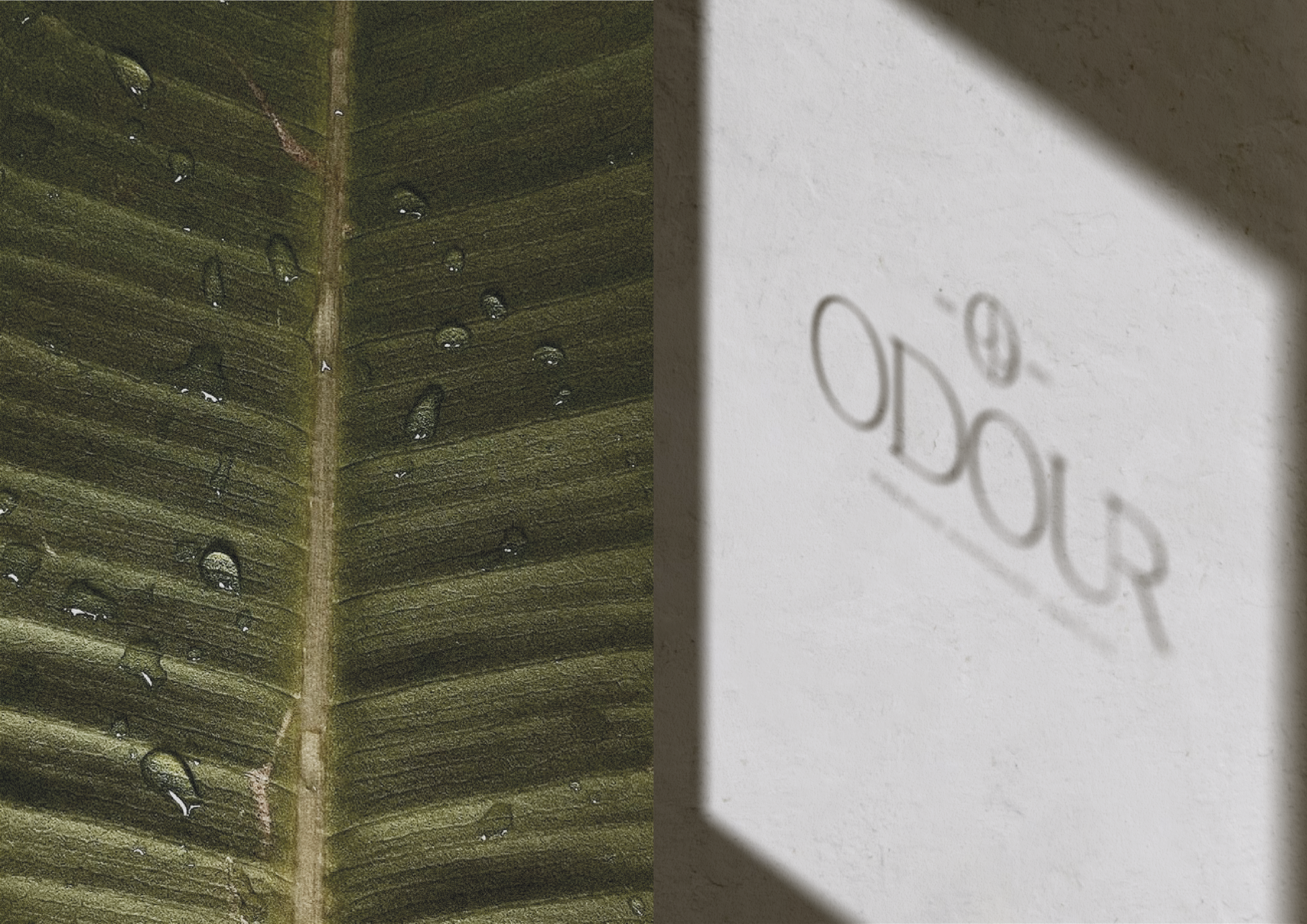 HANDMADE CANDLES | BRAND IDENTITY | LOGO | СВЕЧИ — Изображение №3 — Брендинг, Графика на Dprofile