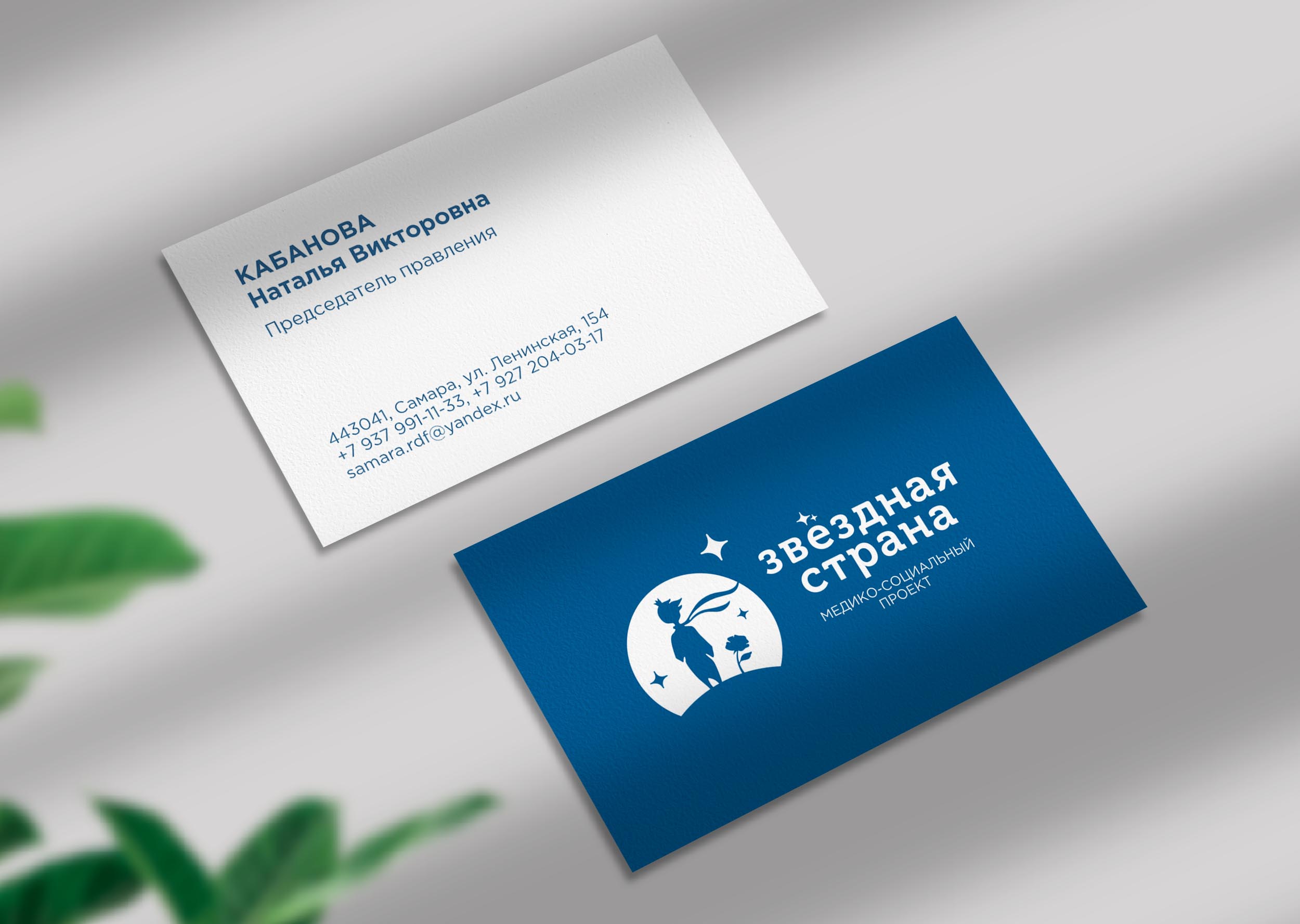 Благотворительный медико-социальный проект Звездная Страна — Изображение №2 — Брендинг на Dprofile