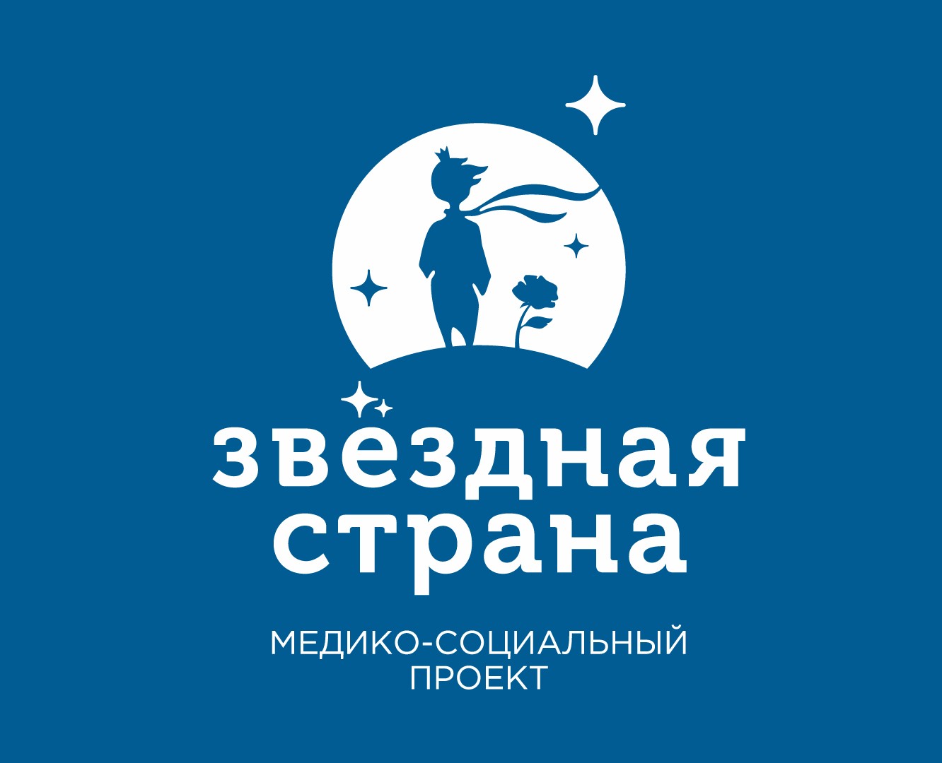 Благотворительный медико-социальный проект Звездная Страна — Брендинг на Dprofile