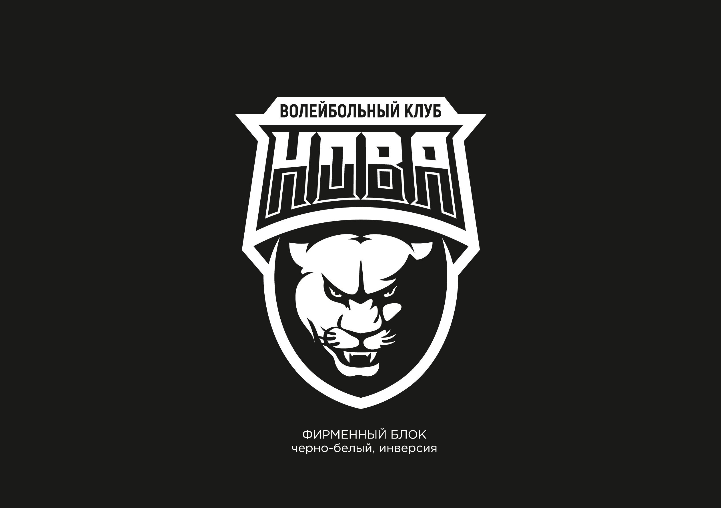 Волейбольный клуб НОВА — Изображение №14 — Брендинг на Dprofile