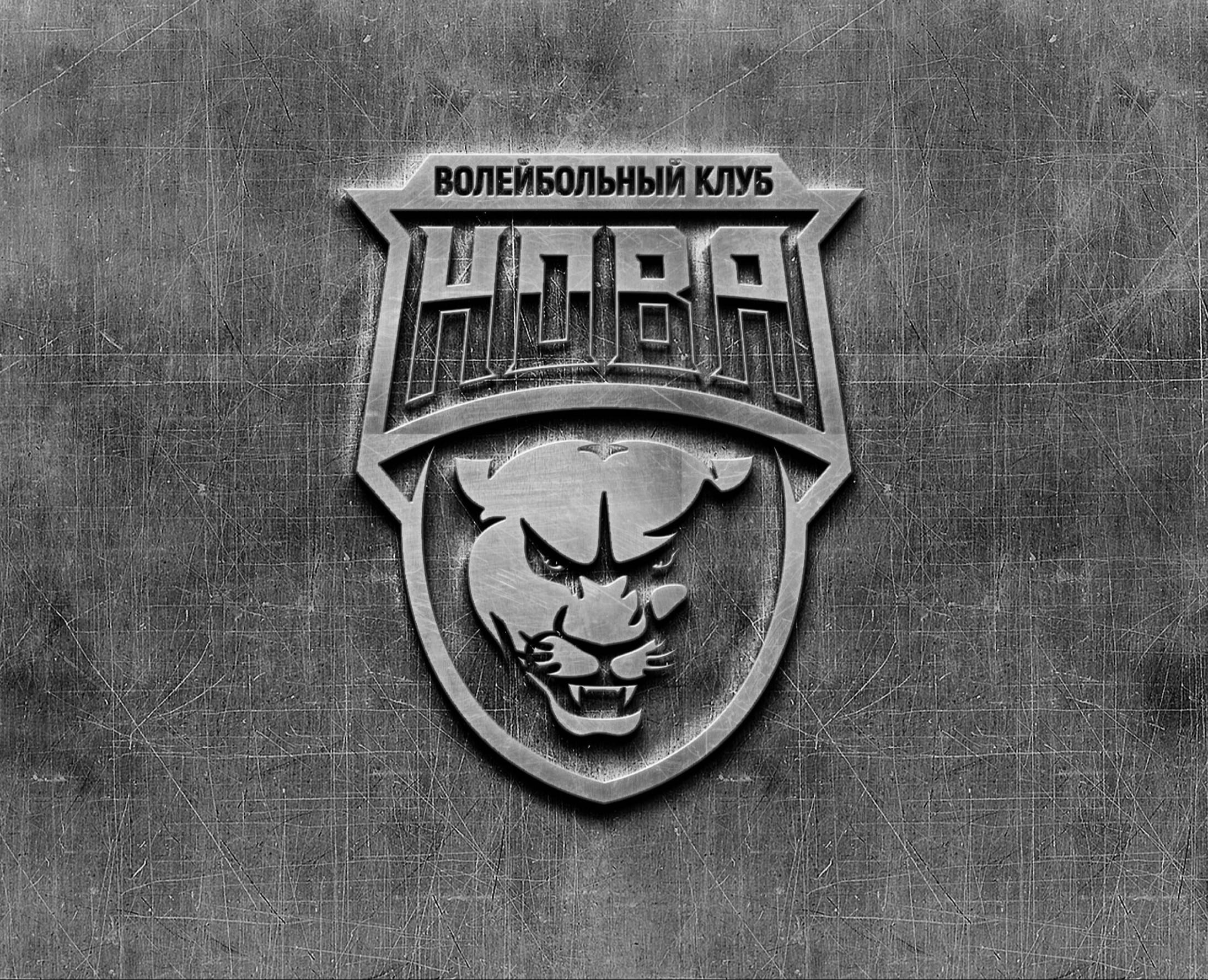 Волейбольный клуб НОВА — Брендинг на Dprofile