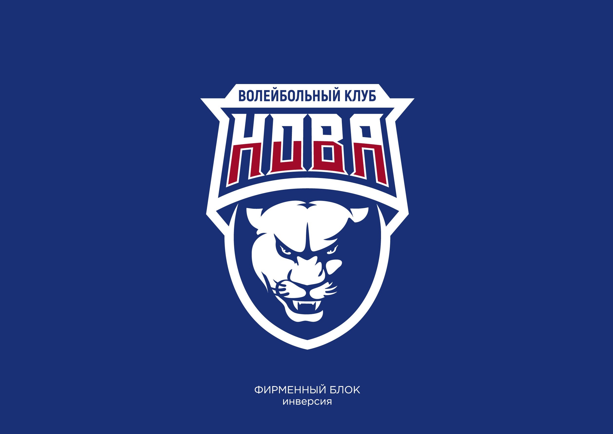Волейбольный клуб НОВА — Изображение №11 — Брендинг на Dprofile