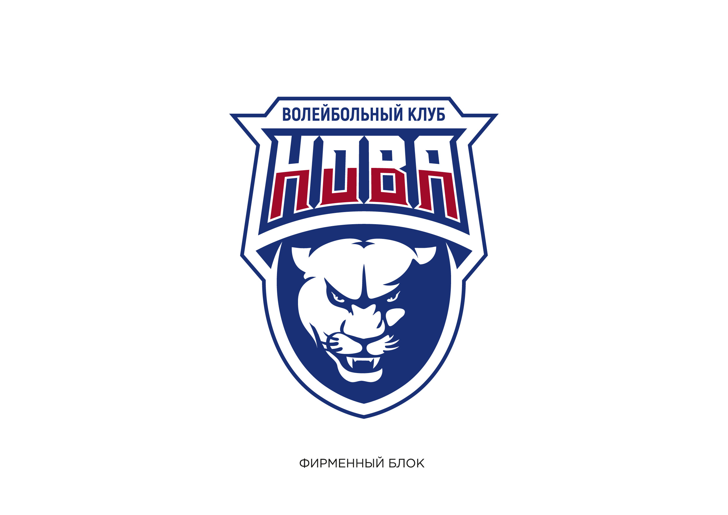 Волейбольный клуб НОВА — Изображение №10 — Брендинг на Dprofile