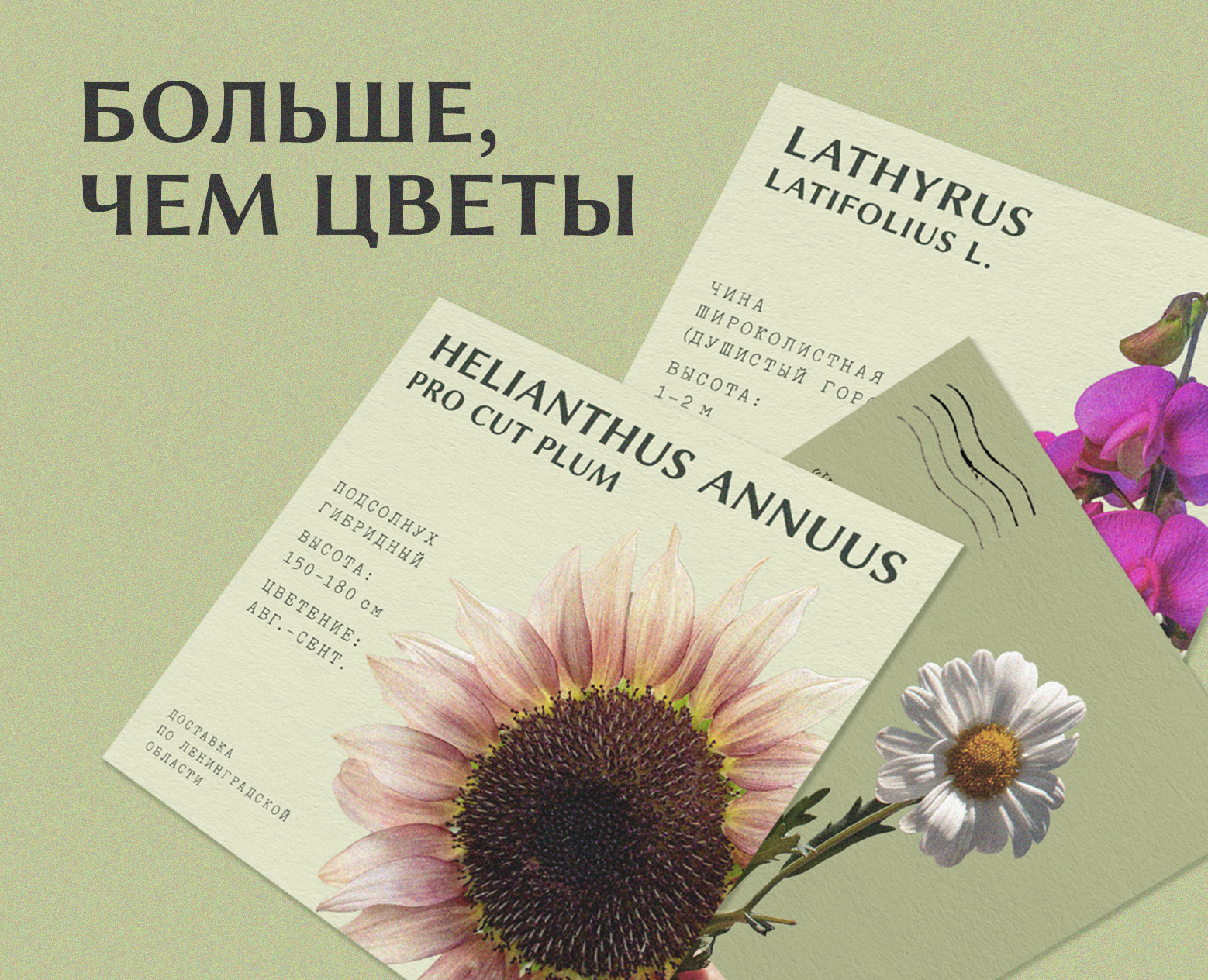 Дизайн баннеров и постов для цветочной фермы на Dprofile