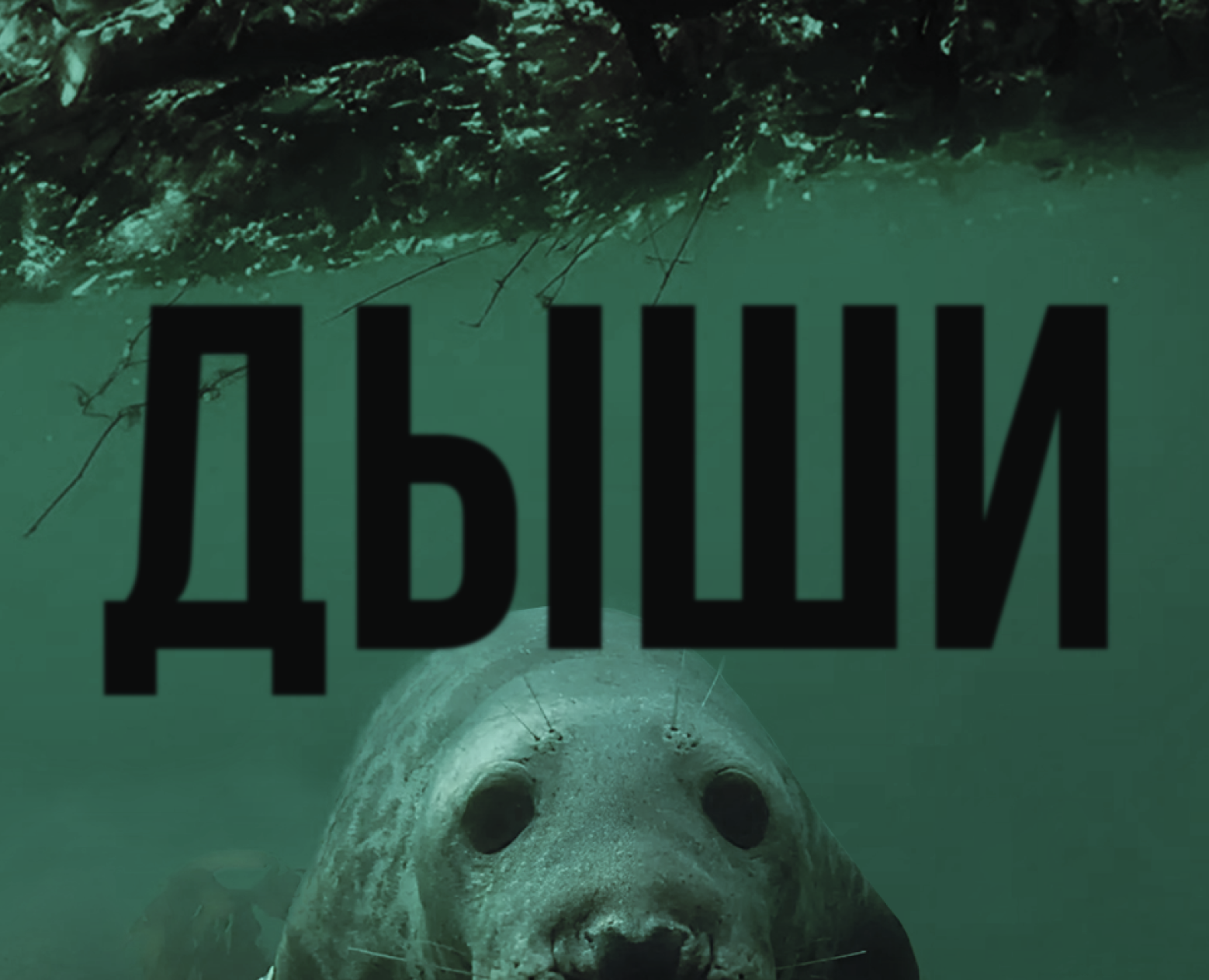 Постер для экологического форума на Dprofile