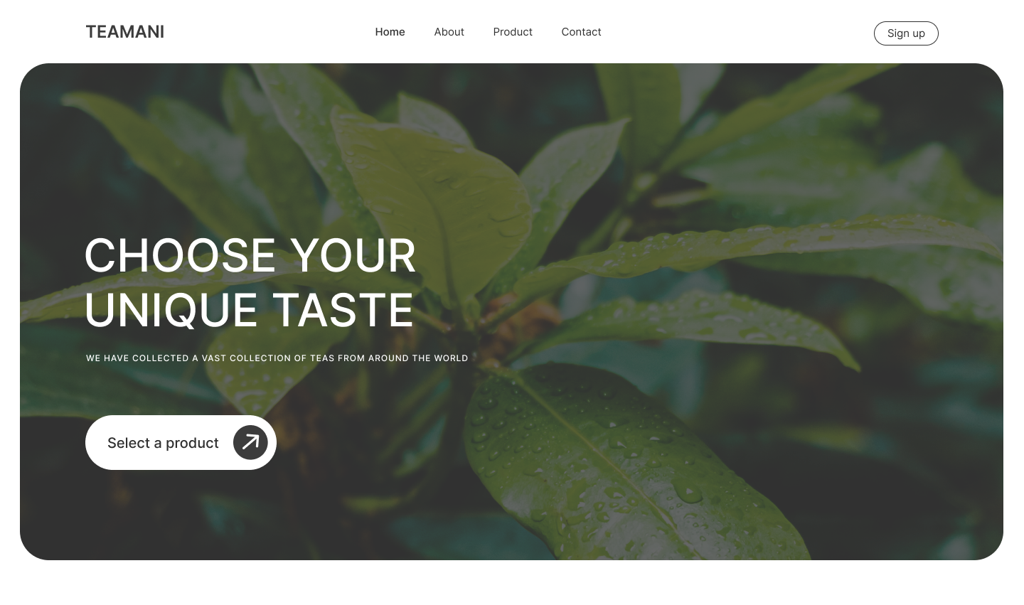 TEAMANI | Landing page — Изображение №2 — Интерфейсы на Dprofile