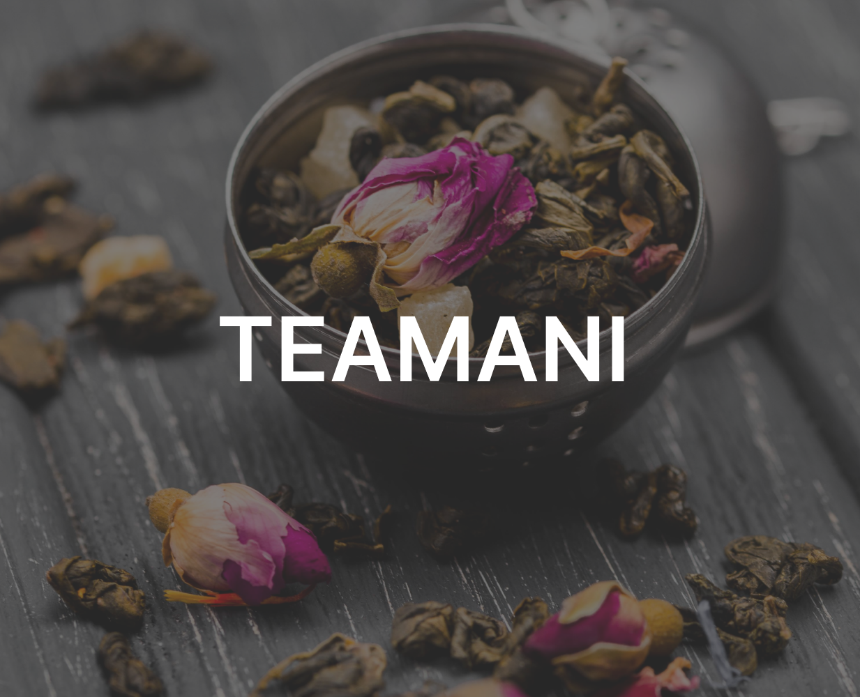 TEAMANI | Landing page — Интерфейсы на Dprofile