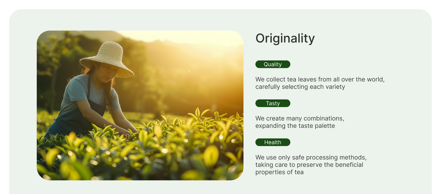 TEAMANI | Landing page — Изображение №3 — Интерфейсы на Dprofile