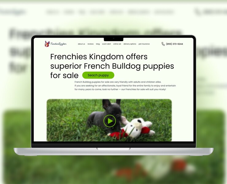 landing page for pet shop — Интерфейсы на Dprofile
