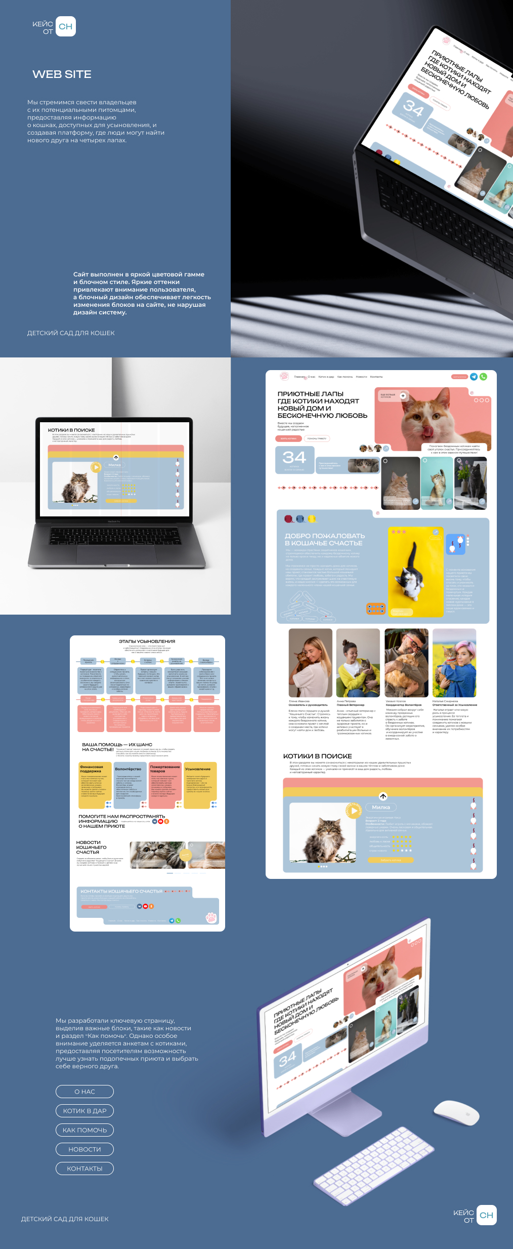 Приют для кошек — Изображение №2 — Интерфейсы на Dprofile
