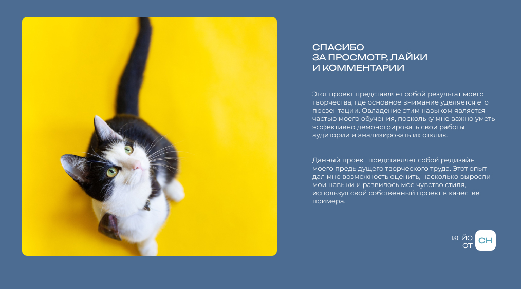 Приют для кошек — Изображение №4 — Интерфейсы на Dprofile