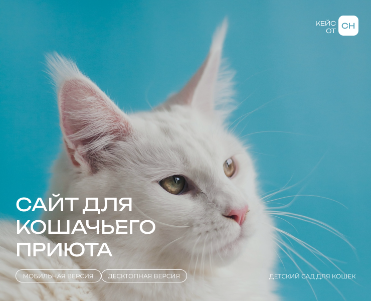 Приют для кошек — Интерфейсы на Dprofile