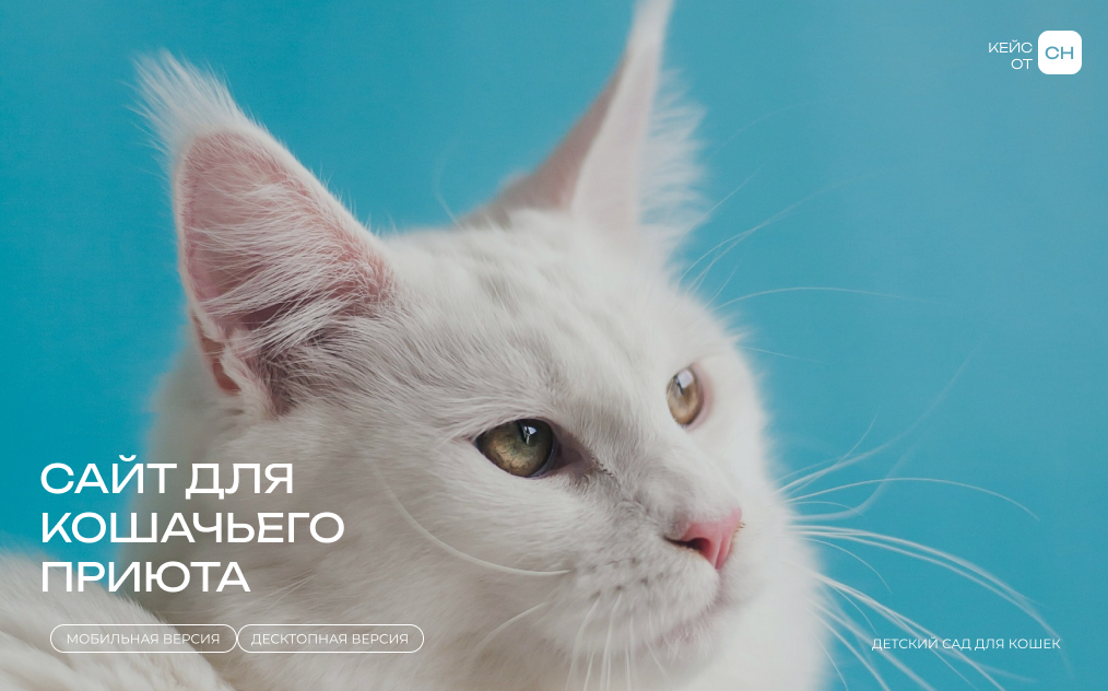 Приют для кошек — Изображение №1 — Интерфейсы на Dprofile