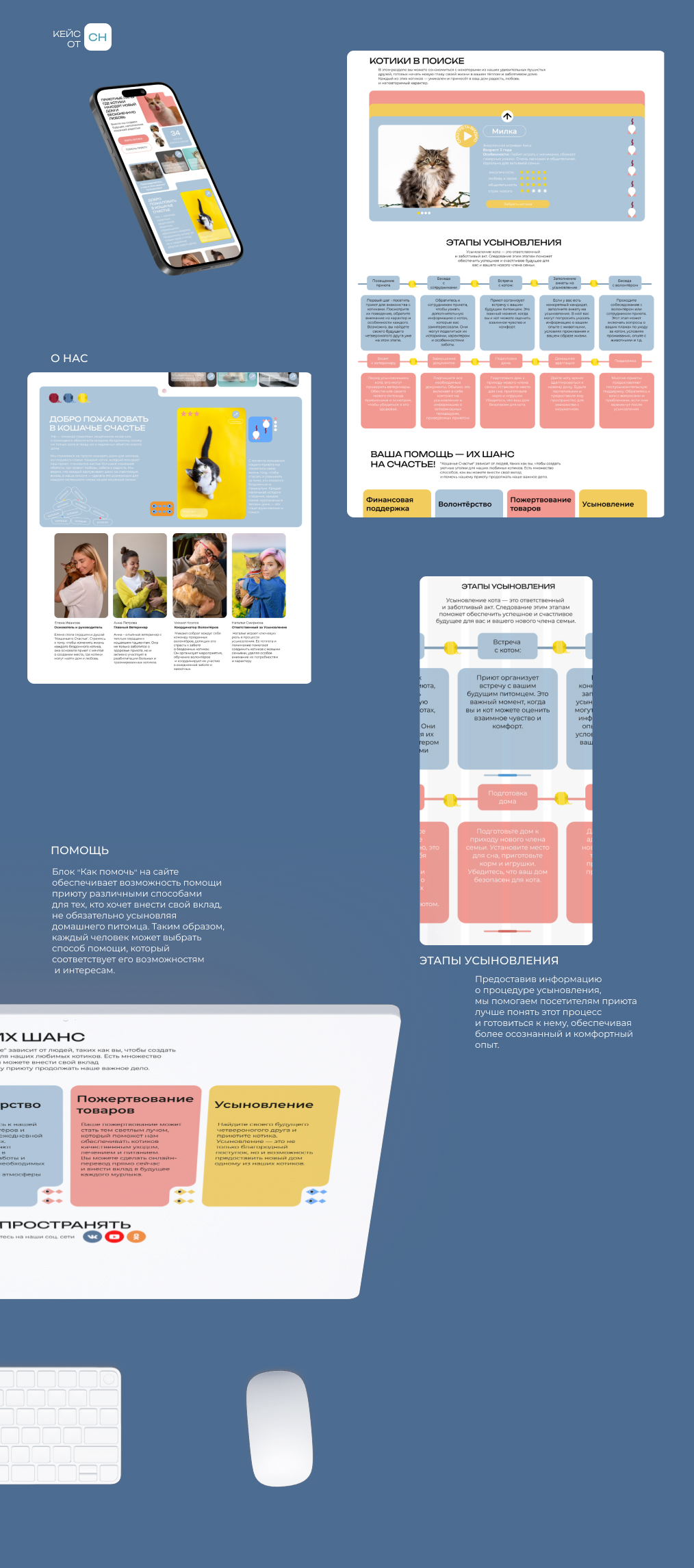 Приют для кошек — Изображение №3 — Интерфейсы на Dprofile