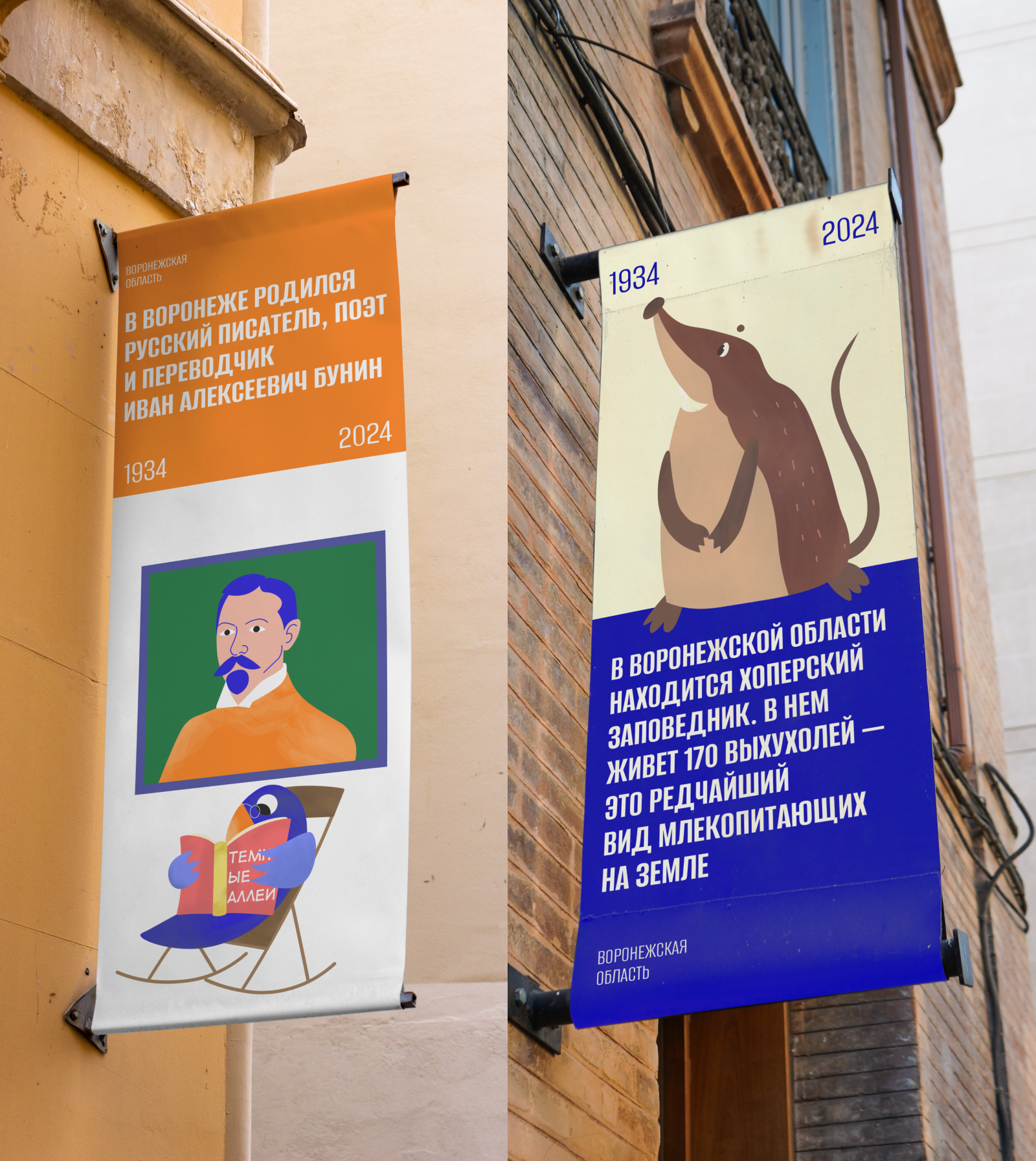 Айдентика для юбилея Воронежской области — Изображение №5 — Брендинг, Иллюстрация на Dprofile