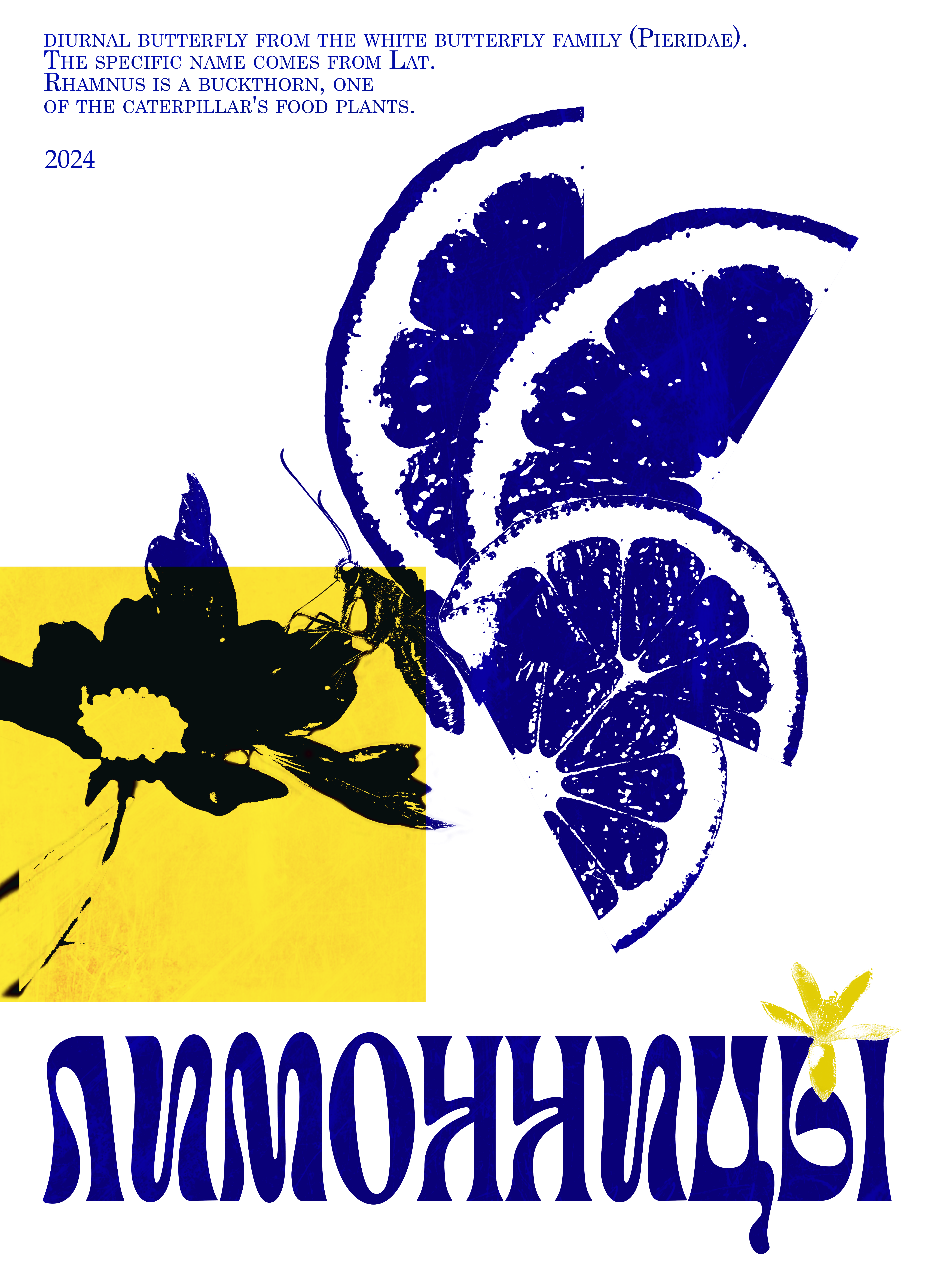 Вдохновение от лимонов — Изображение №2 — Иллюстрация, Графика на Dprofile