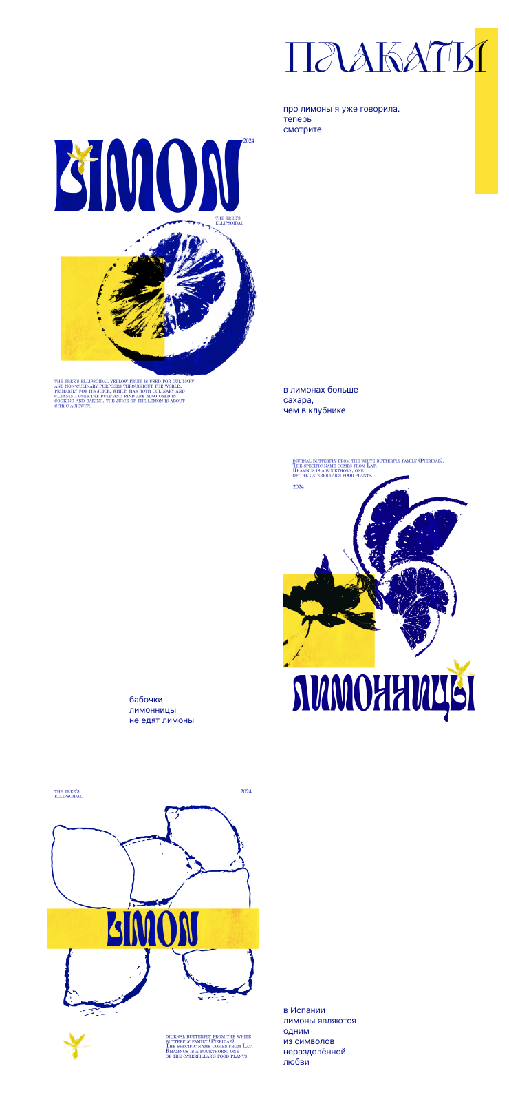 Брендинг напитка с лимоном — Изображение №3 — Брендинг, Интерфейсы на Dprofile