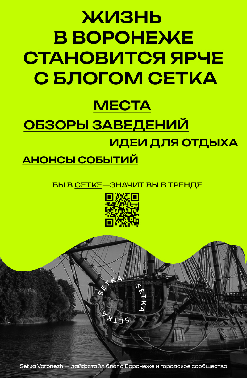 Баннерная реклама для блога Сетка Воронеж — Изображение №2 — Брендинг, Маркетинг на Dprofile