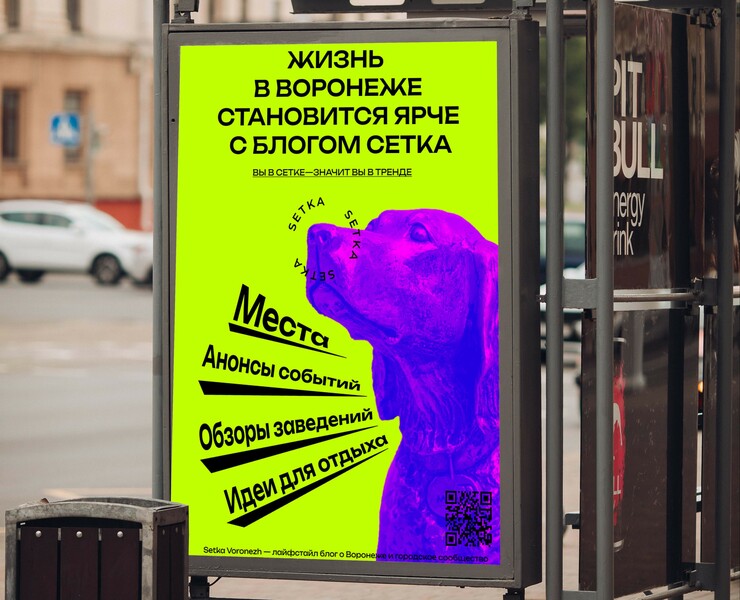 Баннерная реклама для блога Сетка Воронеж — Брендинг, Маркетинг на Dprofile