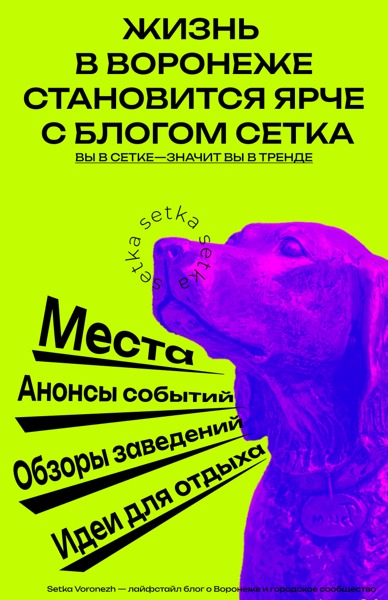 Баннерная реклама для блога Сетка Воронеж — Изображение №3 — Брендинг, Маркетинг на Dprofile