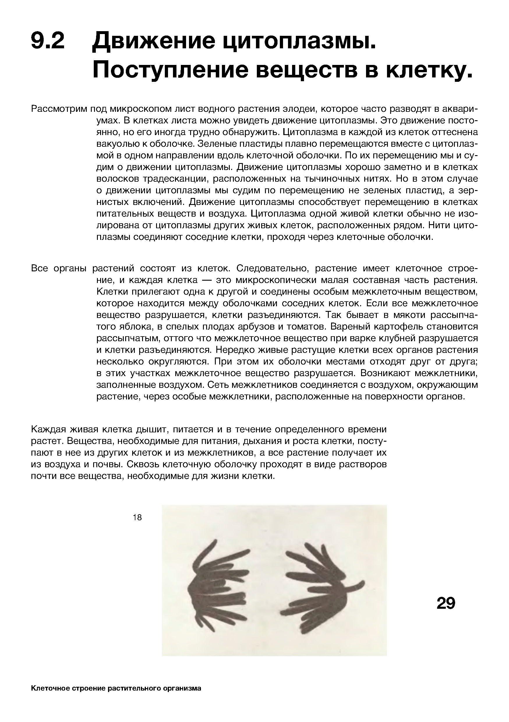biology textbook layout — Изображение №3 — Графика на Dprofile