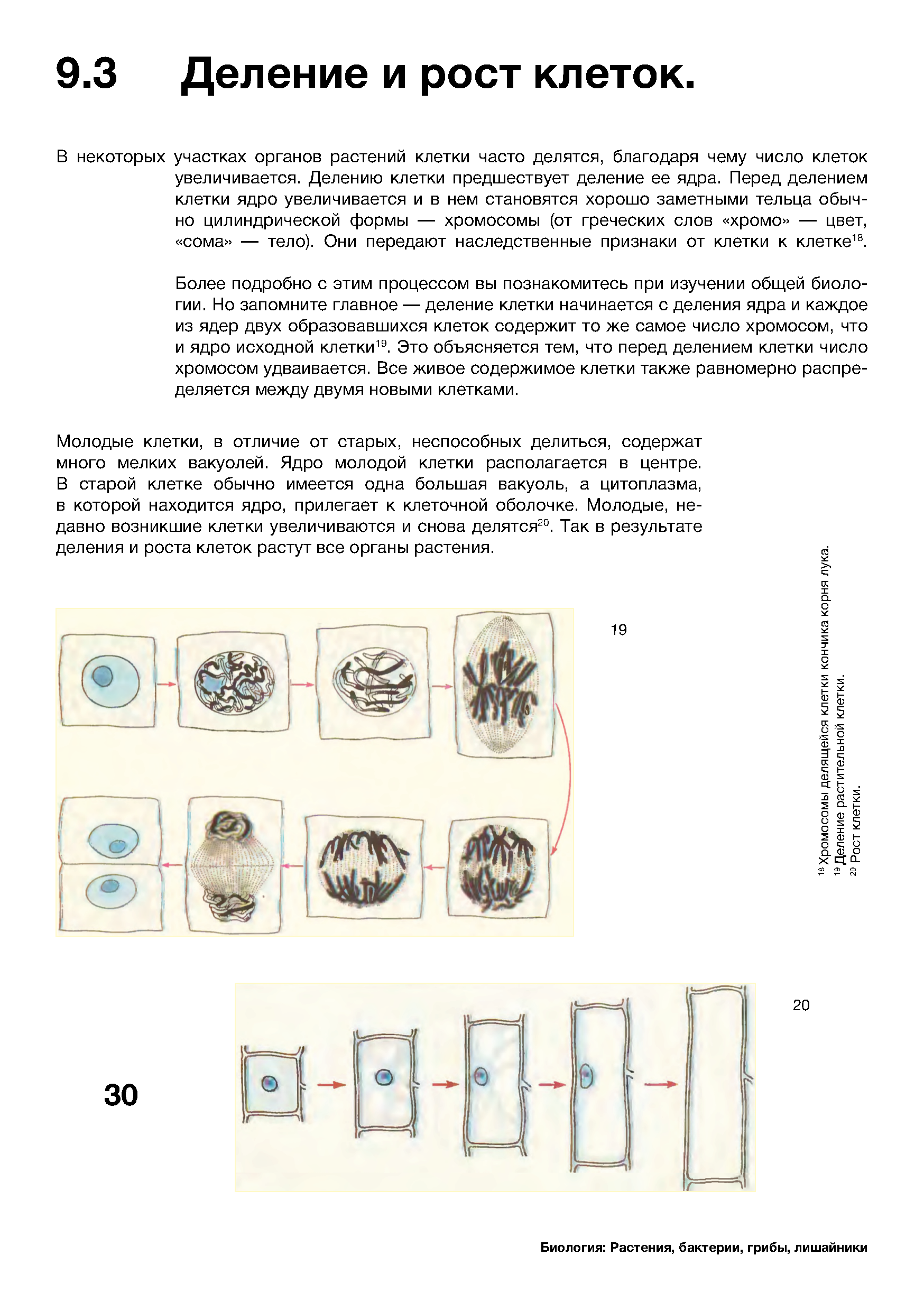 biology textbook layout — Изображение №4 — Графика на Dprofile