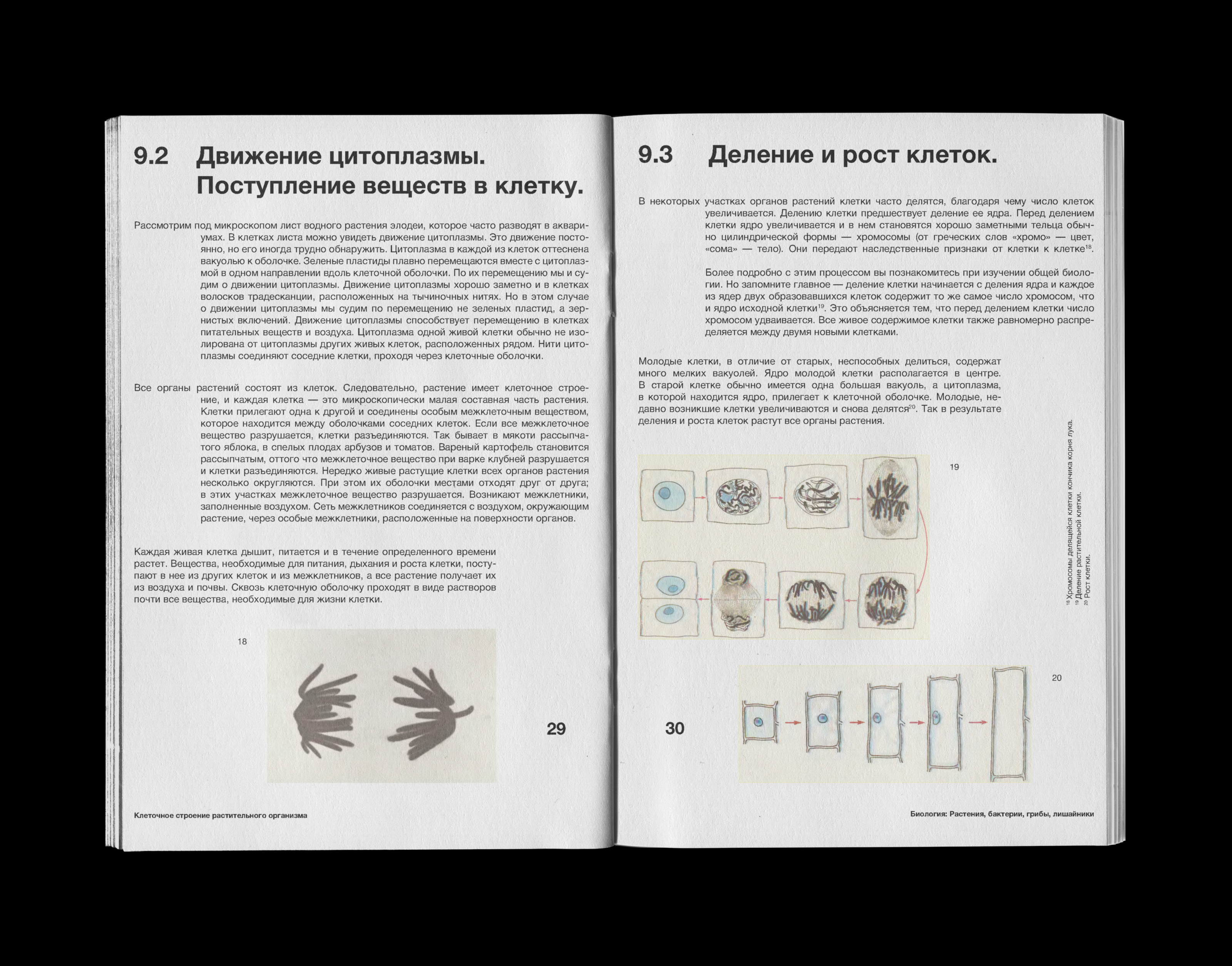 biology textbook layout — Изображение №5 — Графика на Dprofile