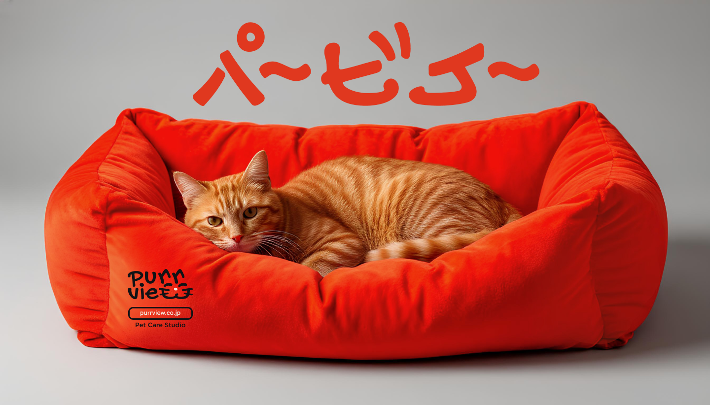 Фирменый стиль и  мерч для  Purrview — Изображение №25 — Брендинг на Dprofile