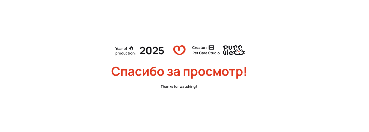 Фирменый стиль и  мерч для  Purrview — Изображение №31 — Брендинг на Dprofile