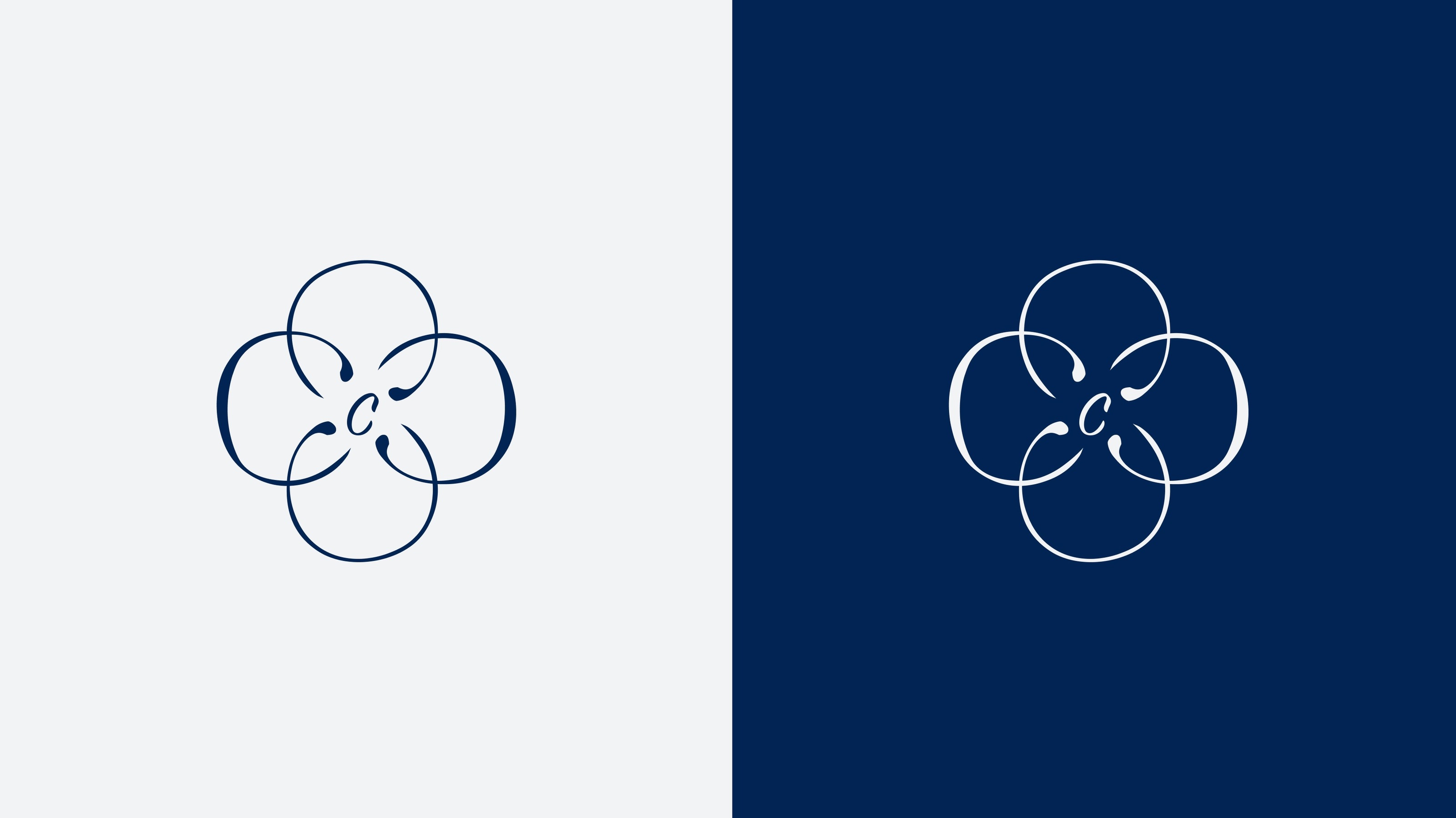 The Cloth BRAND IDENTITY |Фирменный стиль |Бренд одежды — Изображение №5 — Брендинг на Dprofile
