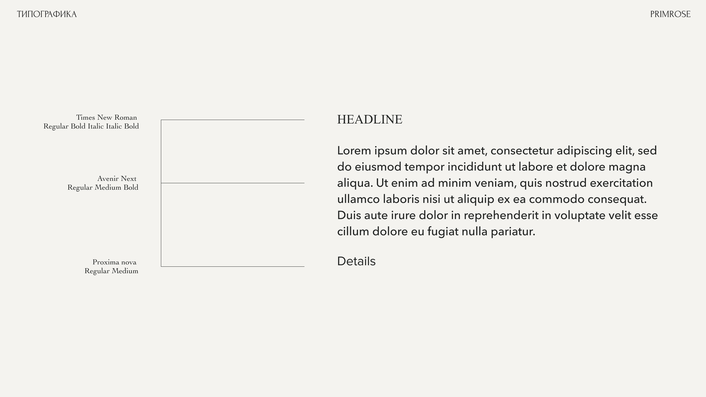 PRIMROSE | Фирменный стиль | Рекламные макеты — Изображение №6 — Брендинг на Dprofile