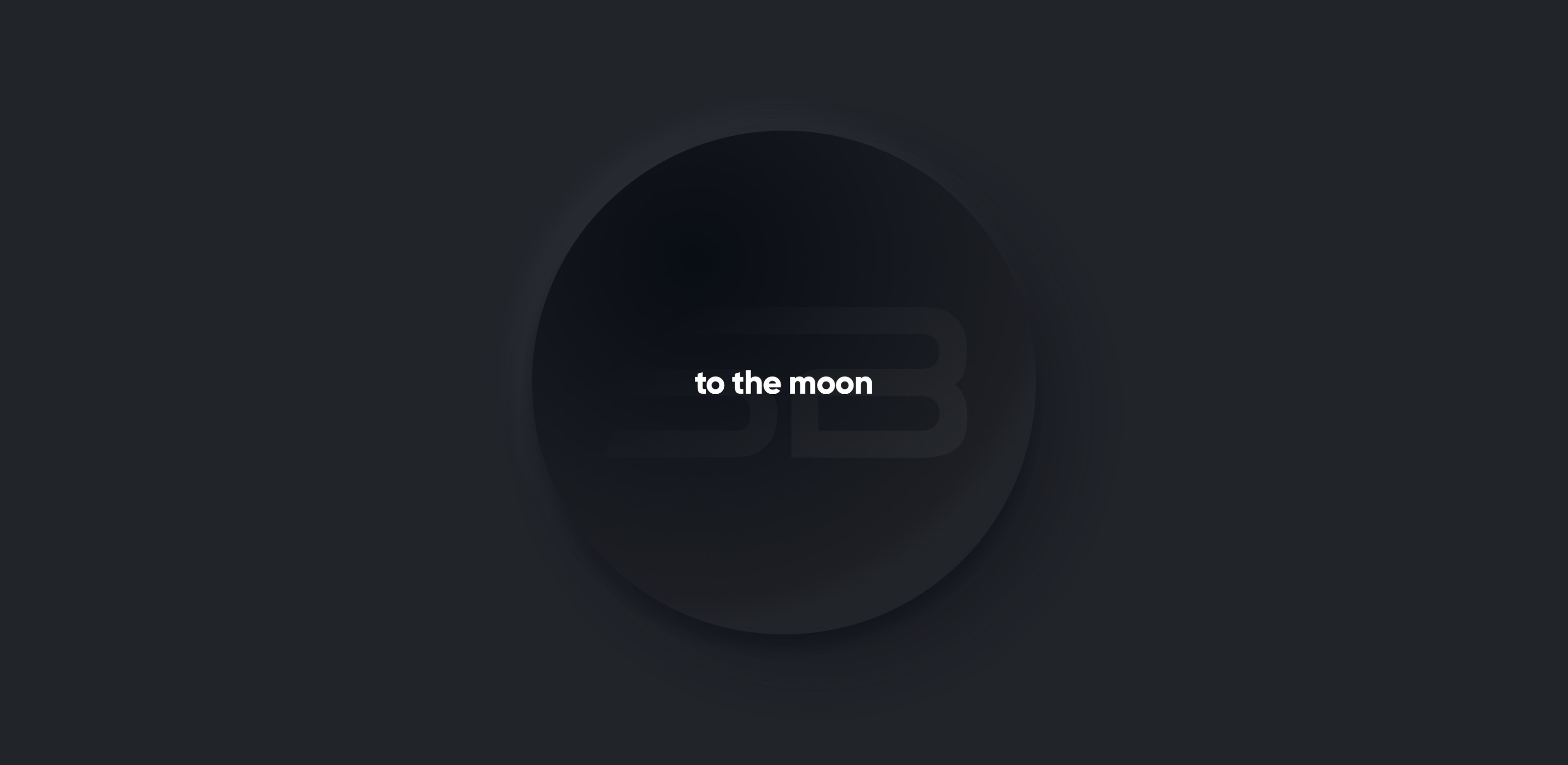 Spacebot token page UX UI design and branding — Изображение №11 — Интерфейсы, Брендинг на Dprofile