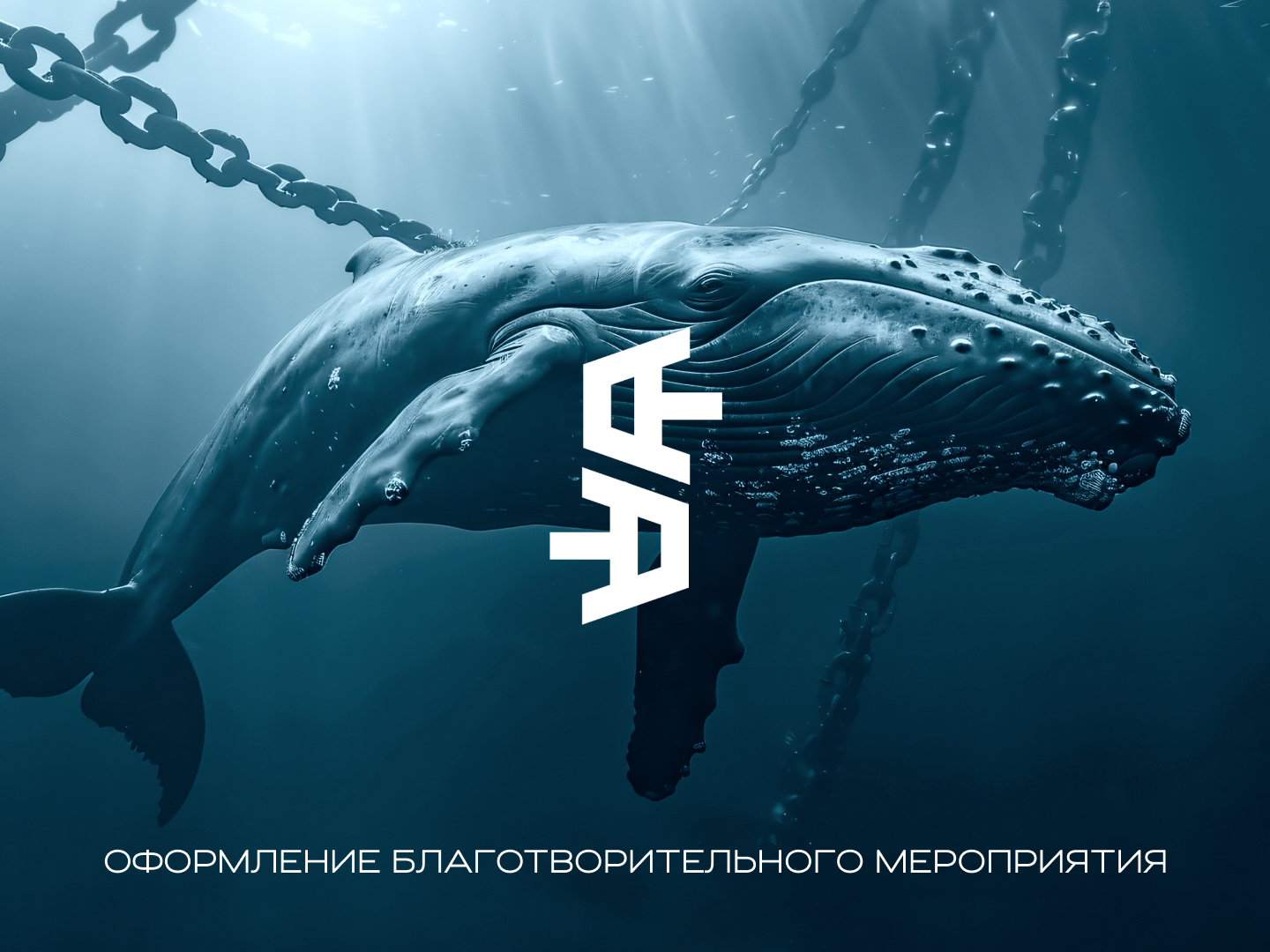 Оформление мероприятия — Изображение №1 — Брендинг на Dprofile