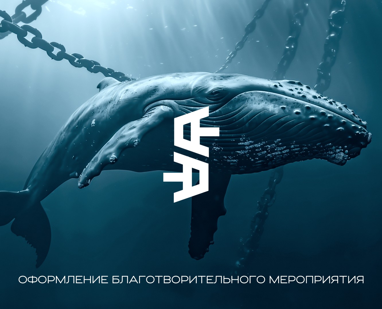 Оформление мероприятия на Dprofile