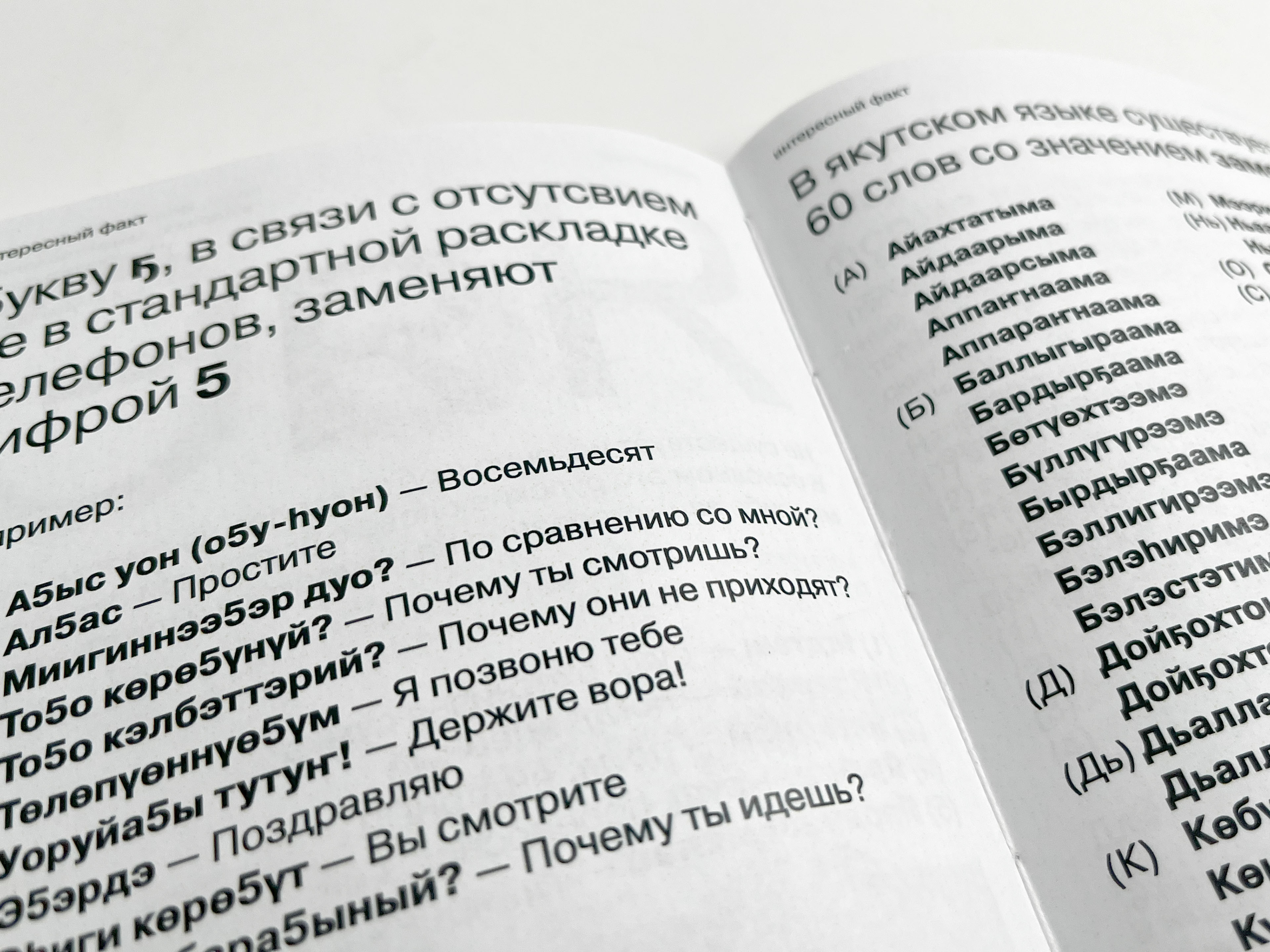 ЯКУТСКАЯ АЗБУКА «ОТ Ҕ ДО Ү» — Изображение №16 — Графика на Dprofile