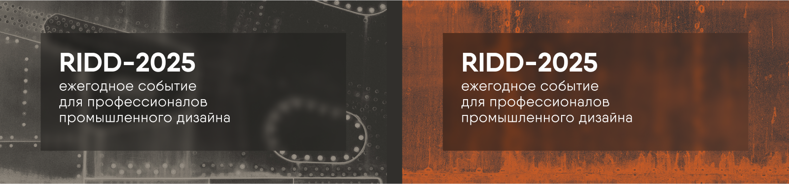 RIDD-2025 — Изображение №6 — Графика на Dprofile