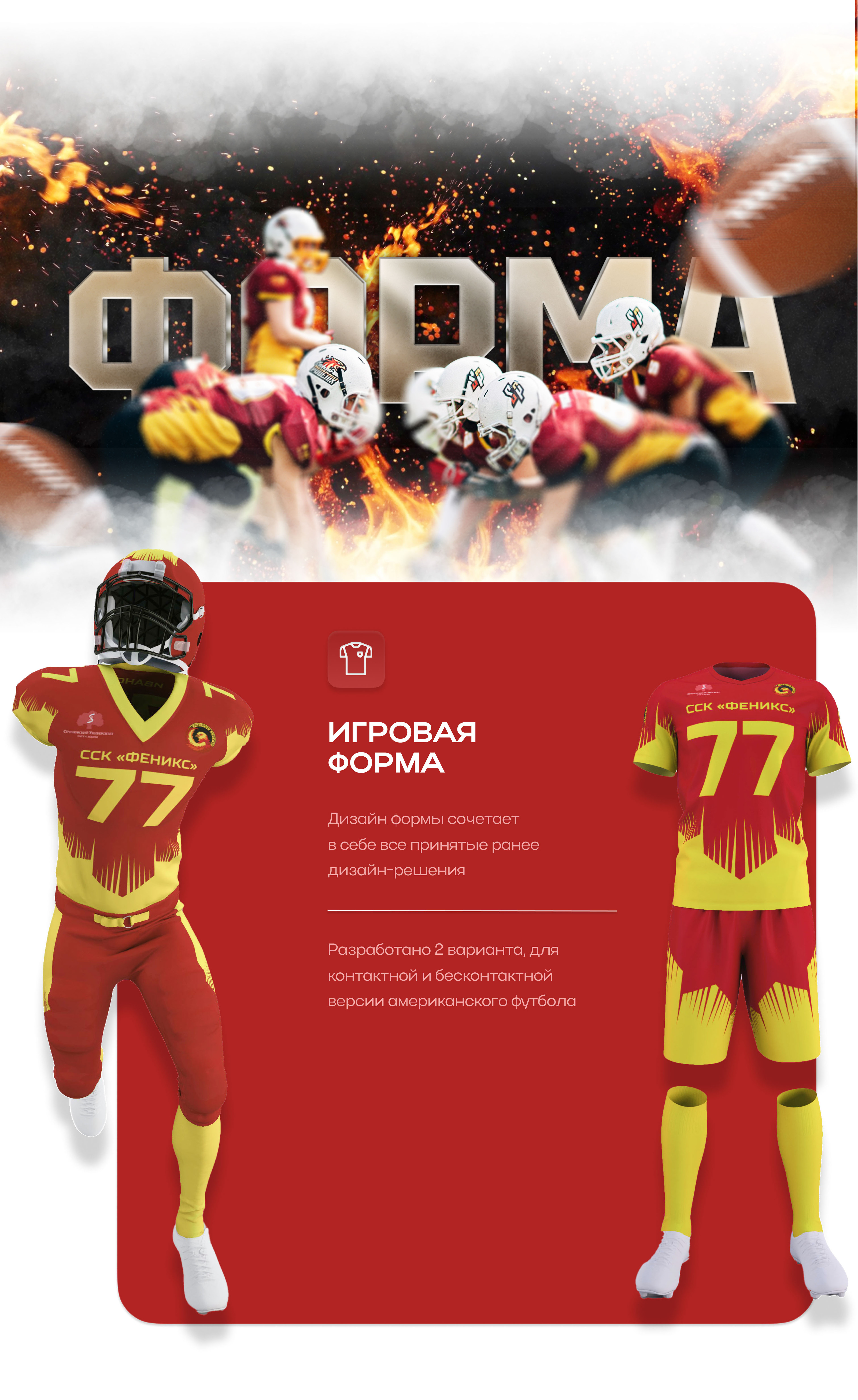 Sechenov Phoenix — Изображение №3 — Брендинг на Dprofile