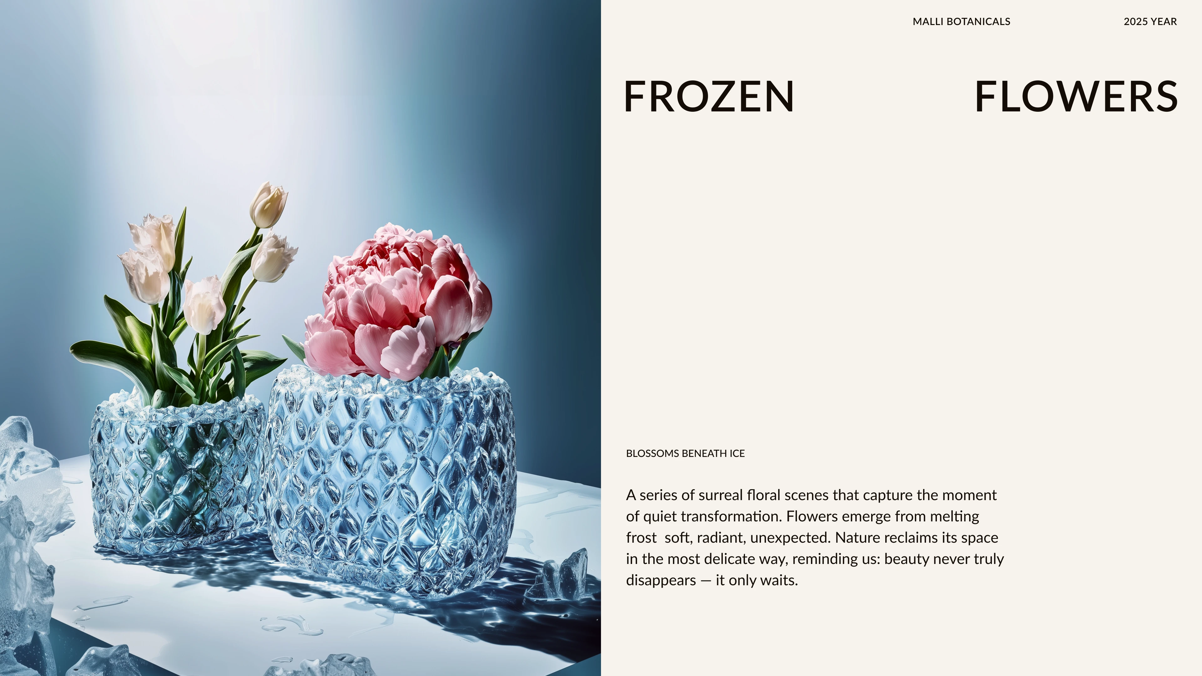 MALLI BOTANICALS_AI SPRING VISUALS — Изображение №3 — Иллюстрация, Маркетинг на Dprofile