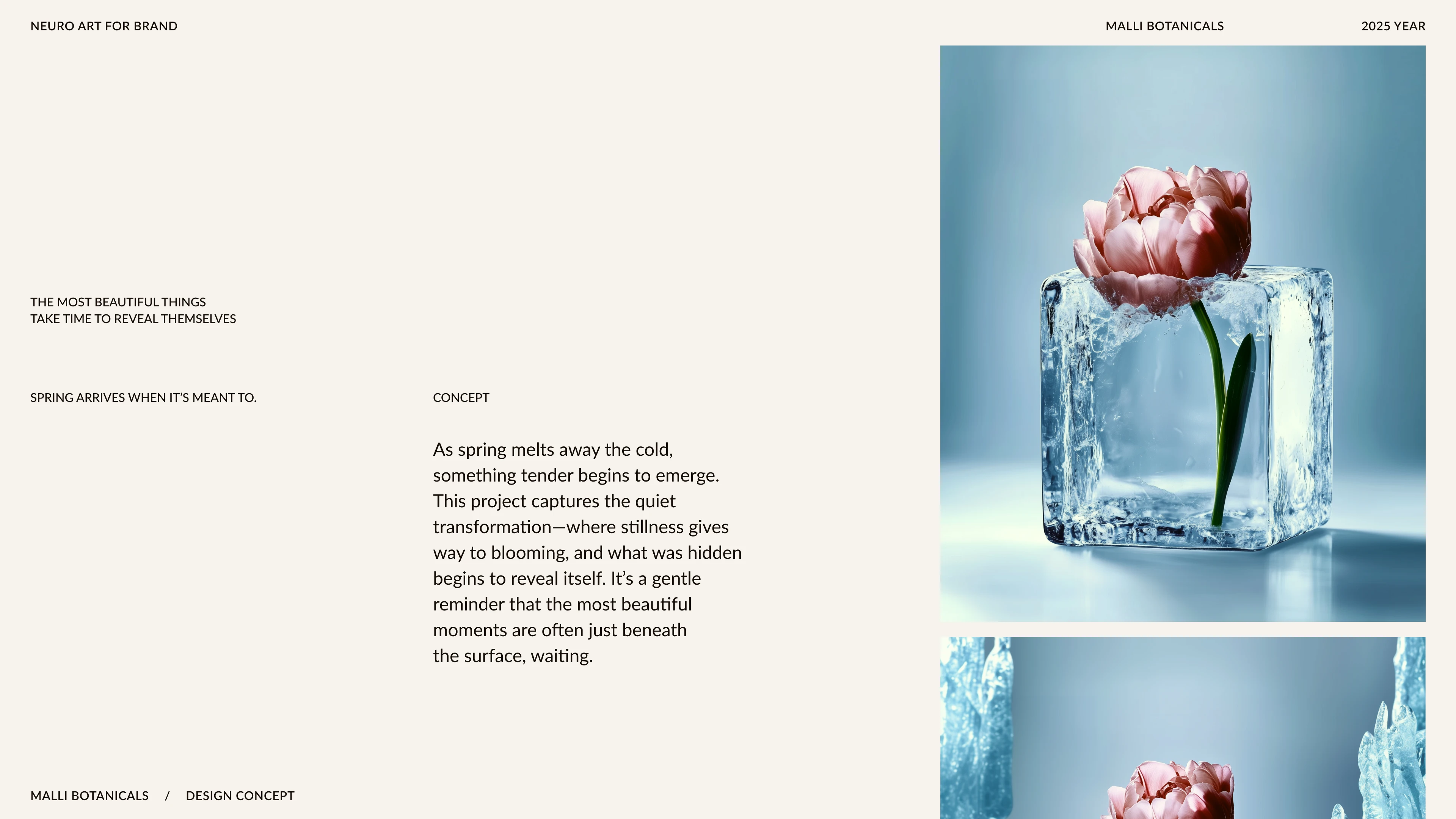 MALLI BOTANICALS_AI SPRING VISUALS — Изображение №2 — Иллюстрация, Маркетинг на Dprofile