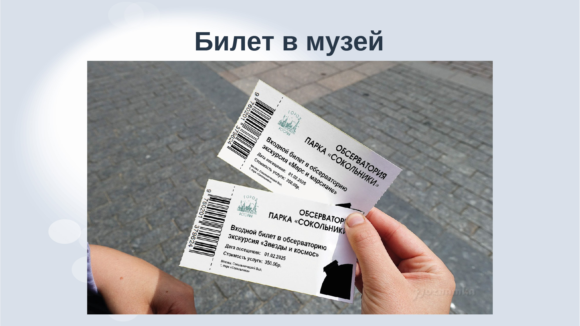 Дизайн-аудит обсерватории парка "Сокольники" — Изображение №29 — Брендинг, Маркетинг на Dprofile