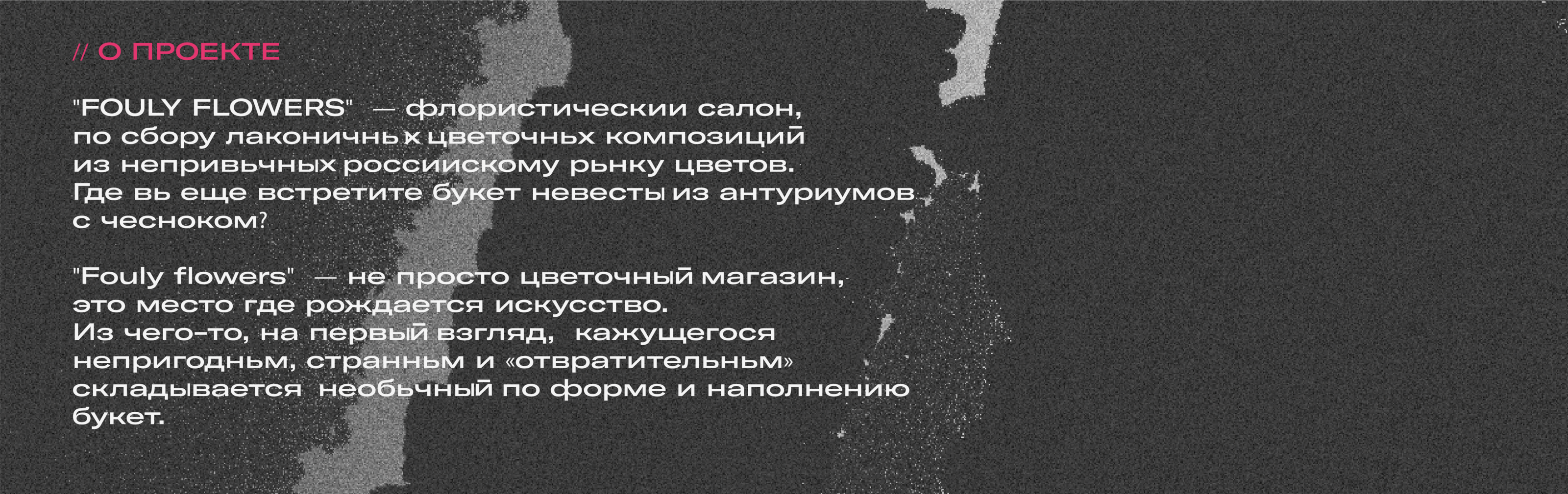 FOULY FLOWERS | Маскоты для цветочного магазина — Изображение №2 — Брендинг, Иллюстрация на Dprofile