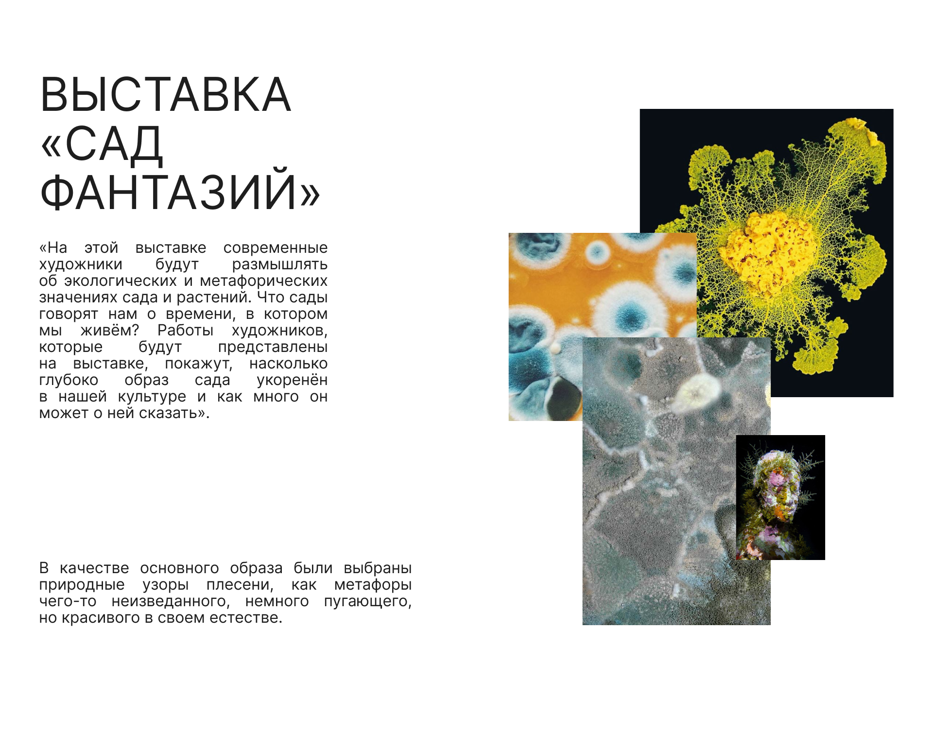 Айдентика для выставки «Сад Фантазий» — Изображение №2 — Брендинг, Маркетинг на Dprofile