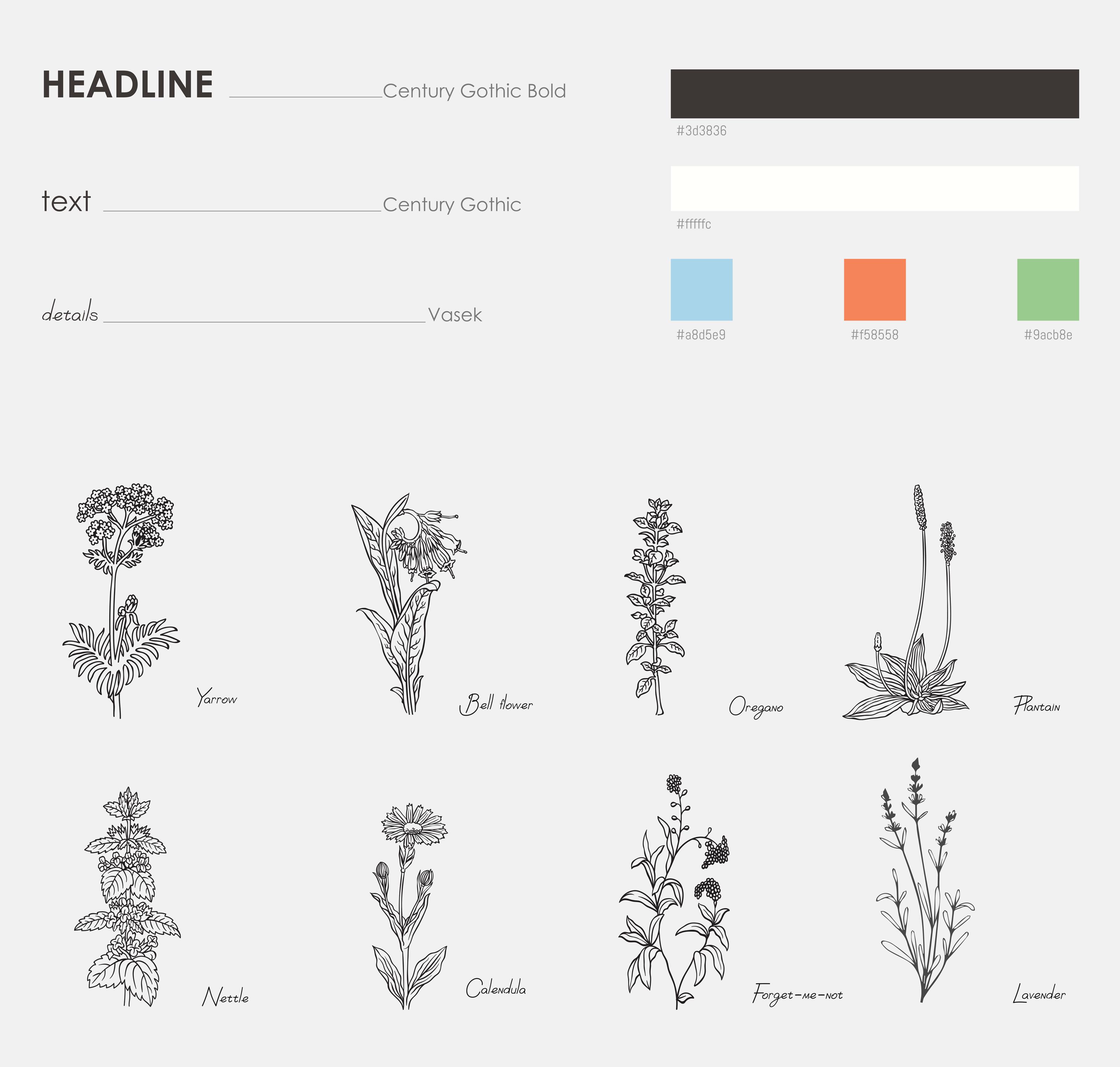 Brand identity for the cosmetic & wellness brand — Изображение №3 — Брендинг на Dprofile