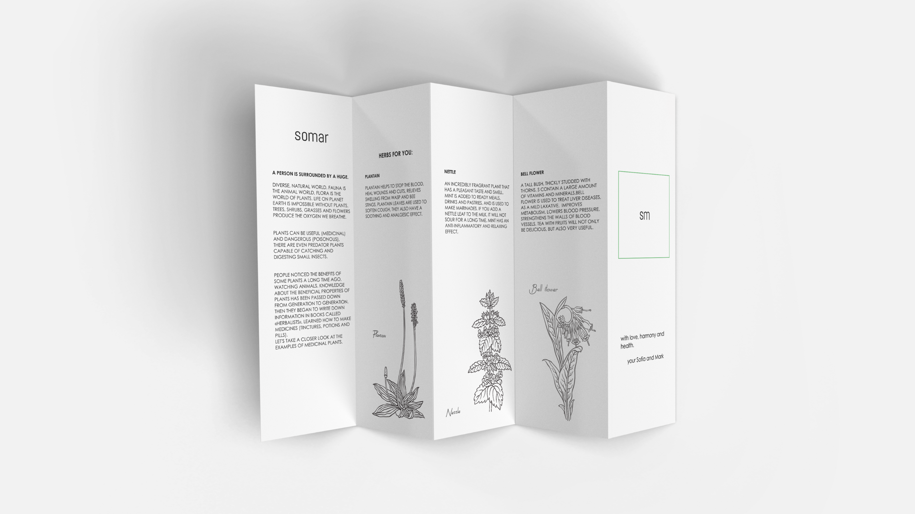 Brand identity for the cosmetic & wellness brand — Изображение №11 — Брендинг на Dprofile