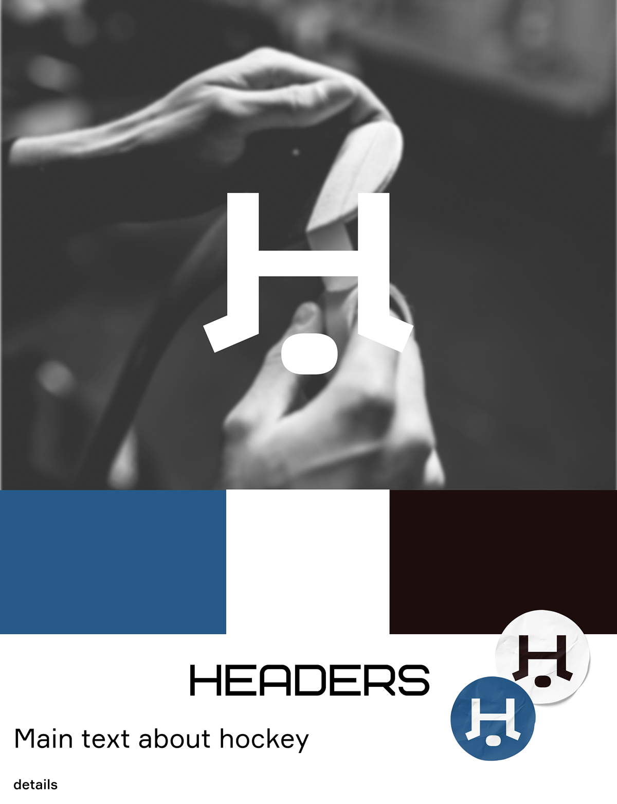 Brand identity for hockey school — Изображение №3 — Брендинг на Dprofile