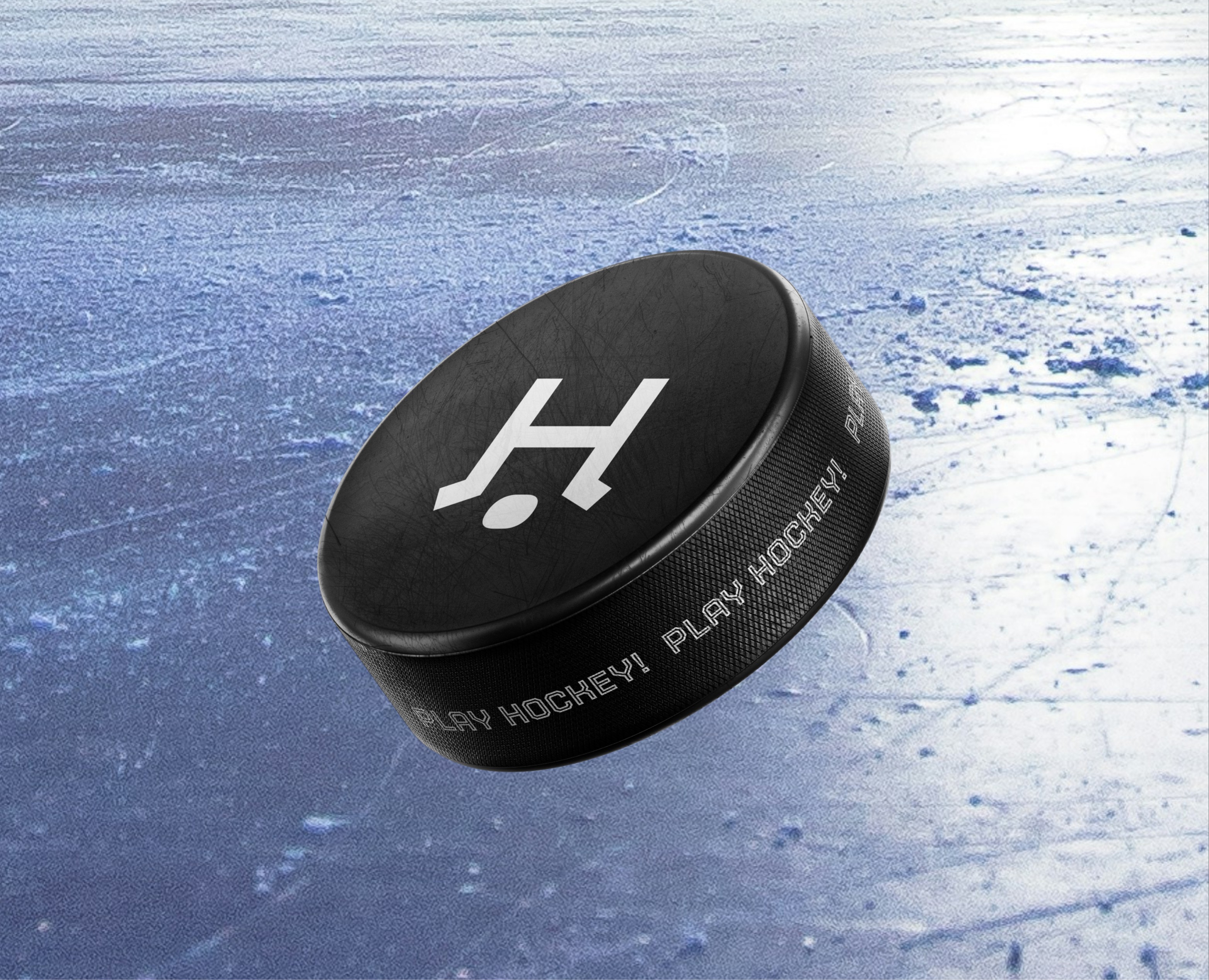 Brand identity for hockey school на Dprofile